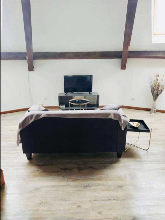 Superbe Appartement Cocooning Proche Des Thermes Vittel Dış mekan fotoğraf